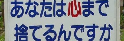 ファーストサマー⭐️酢イカ🦑✨ banner