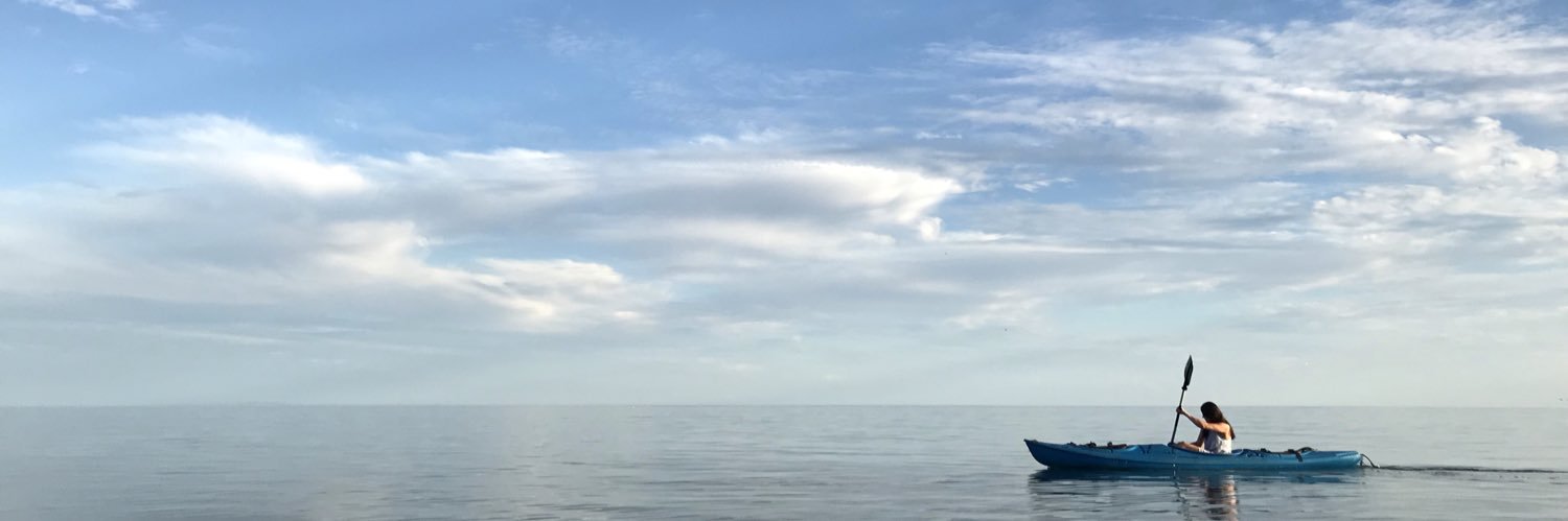 VyeraL's profile banner image