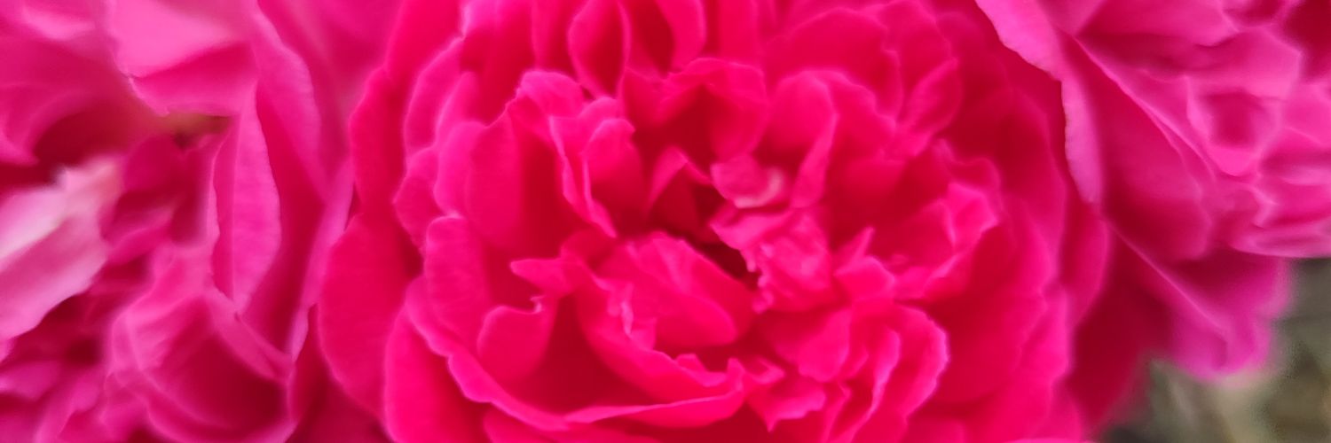 vanthanh0792's profile banner image