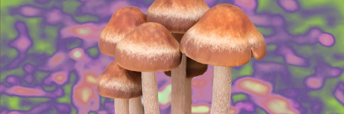 AcidHouseTV's profile banner image