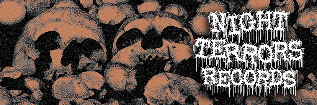 NightTerrorsRec's profile banner image