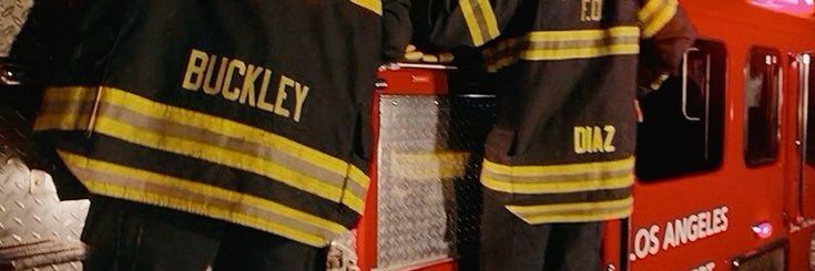 lara | buddie banner