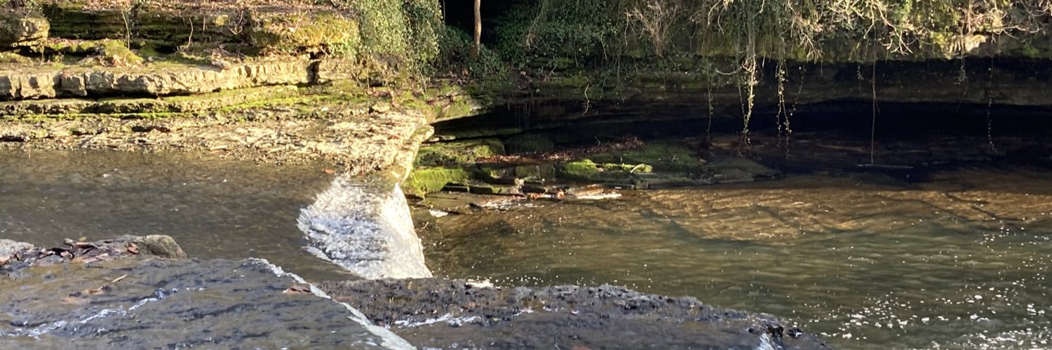 Denise Mitchell banner