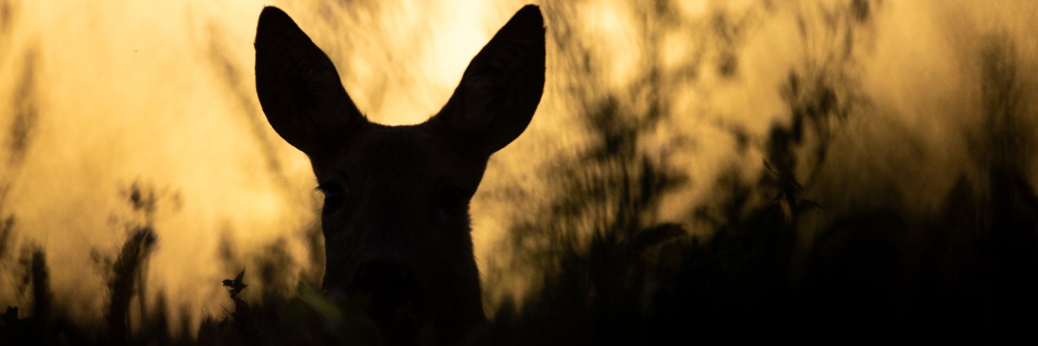Fédération des chasseurs de la Mayenne banner