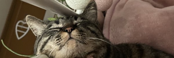 nekomusume145 Profile Banner