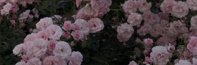 yy_uujw's profile banner image