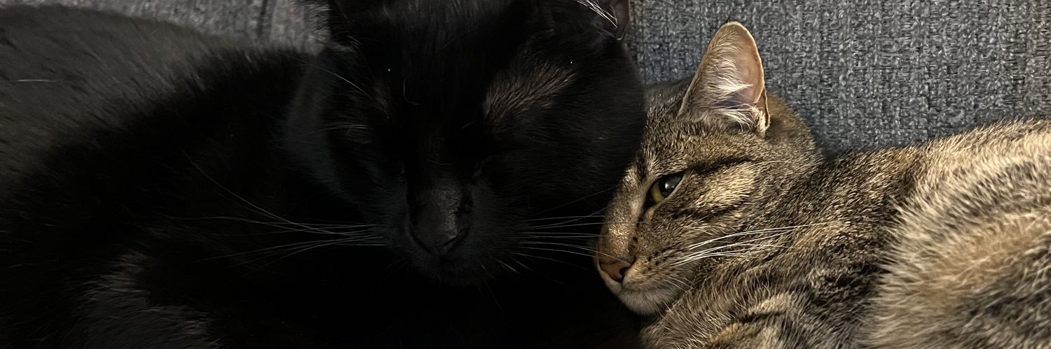 Meli_ssafent's profile banner image