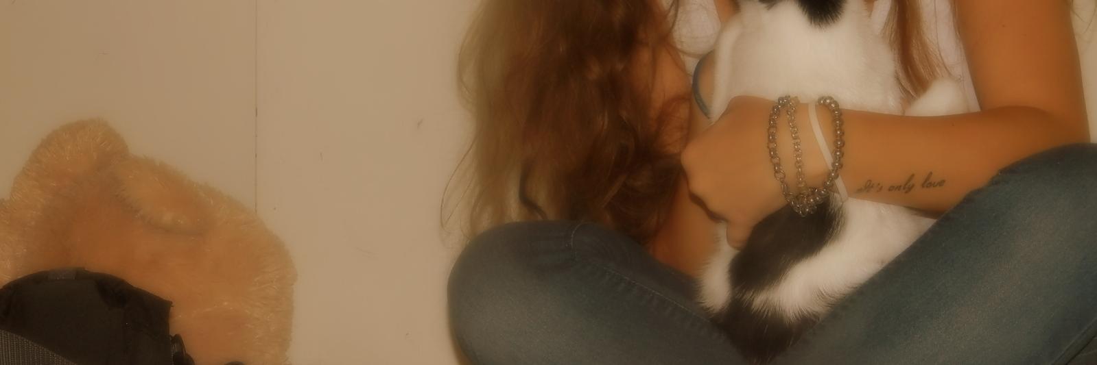 SoolCostamagna's profile banner image