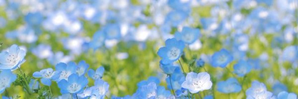 2019Lapis72666 Profile Banner