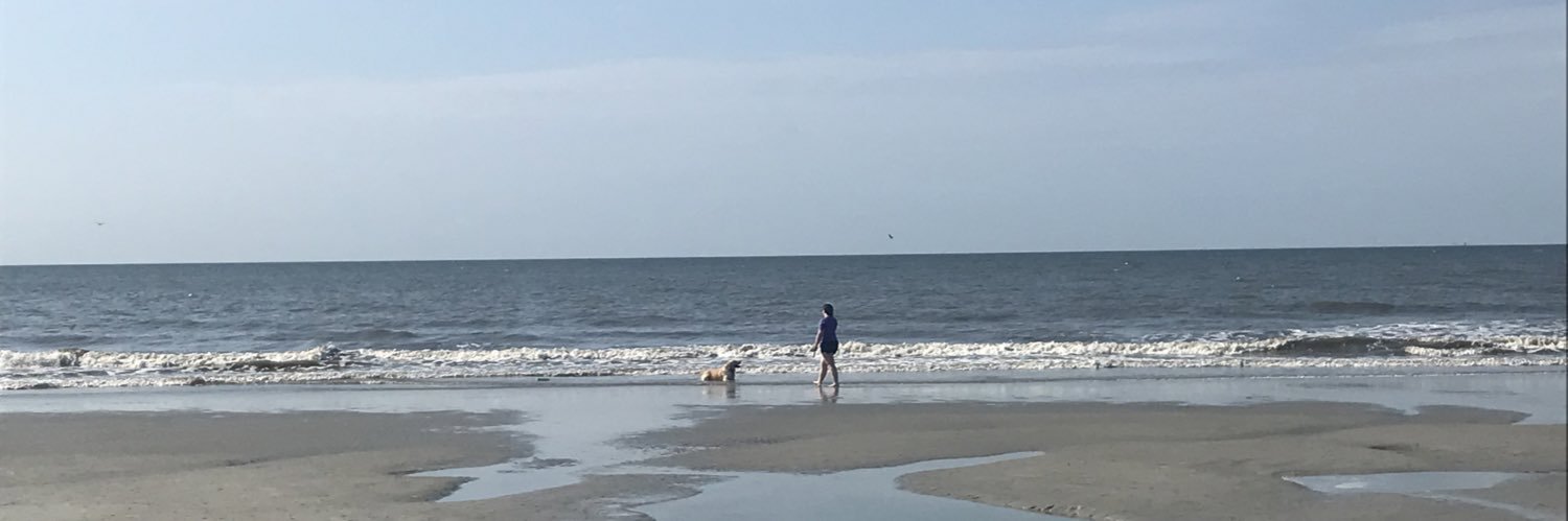 OnePlus_Whalen's profile banner image