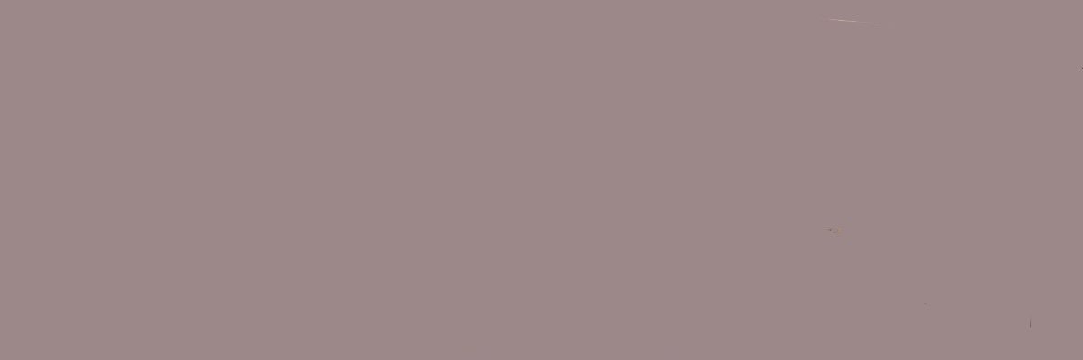 ؘ banner