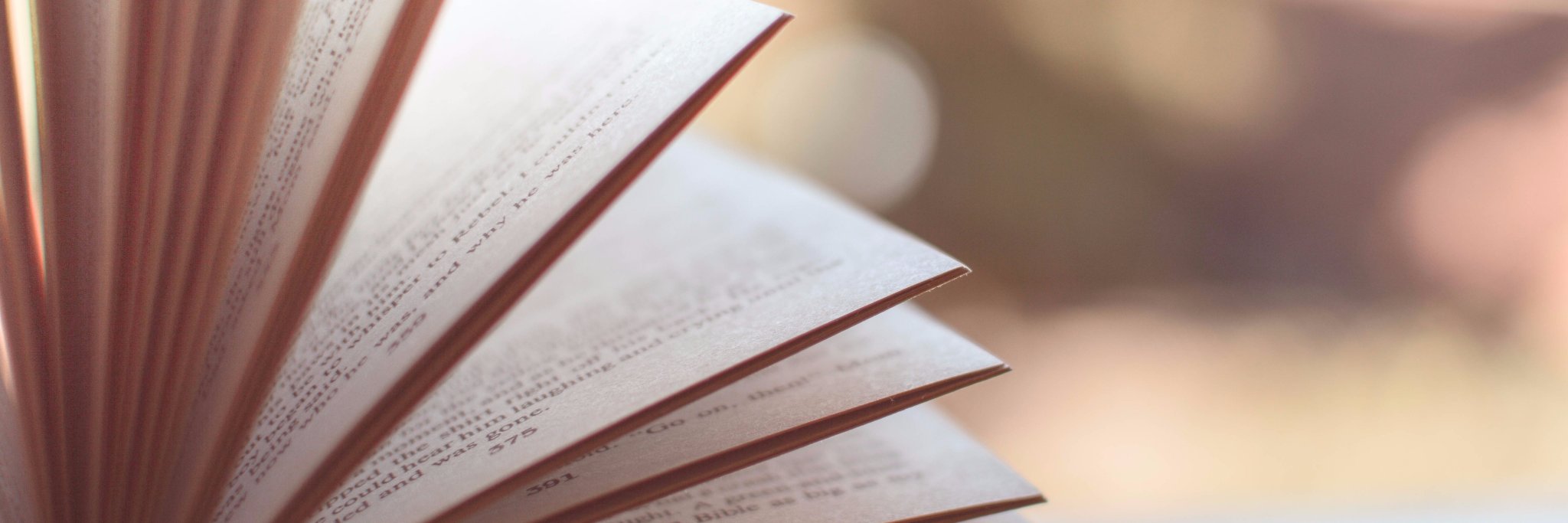 MNReadAssoc's profile banner image