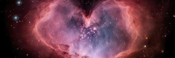 dxmb_kitten's profile banner image