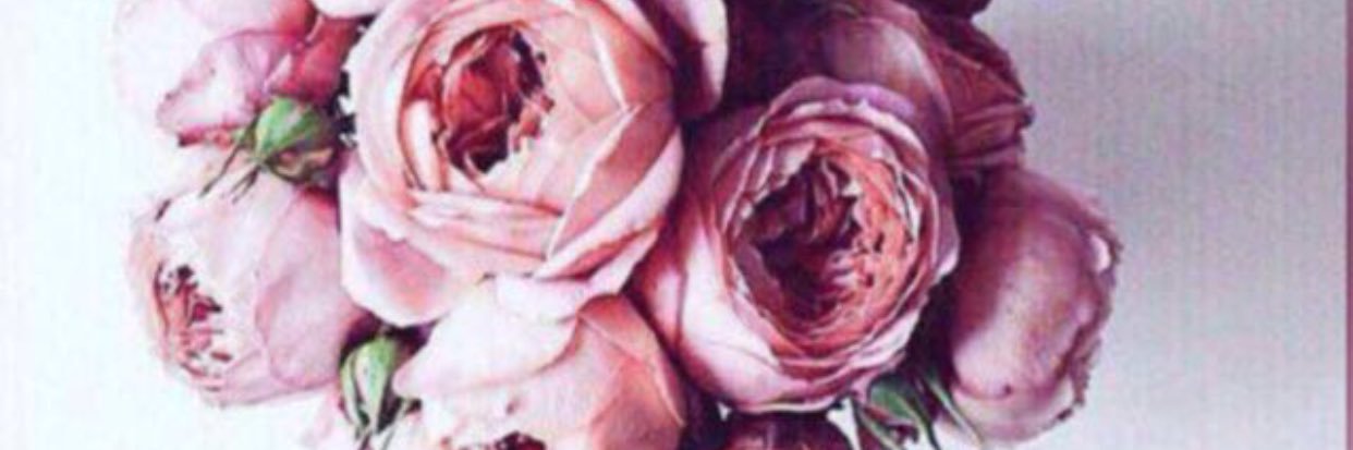 oux900's profile banner image