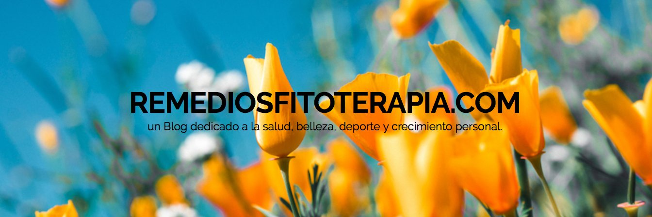 RemediosFitoter's profile banner image