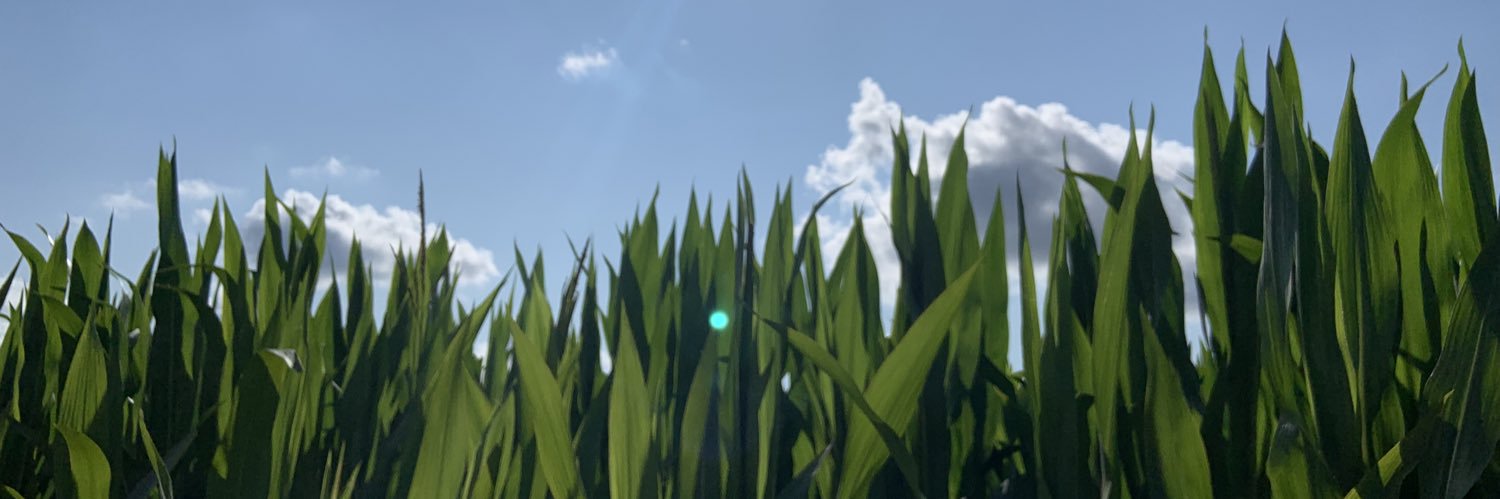 Leaa_Rio's profile banner image