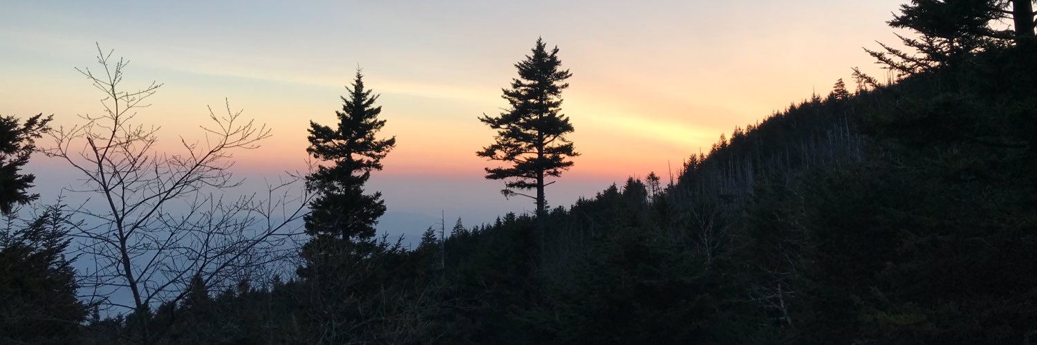 jenjen7917's profile banner image