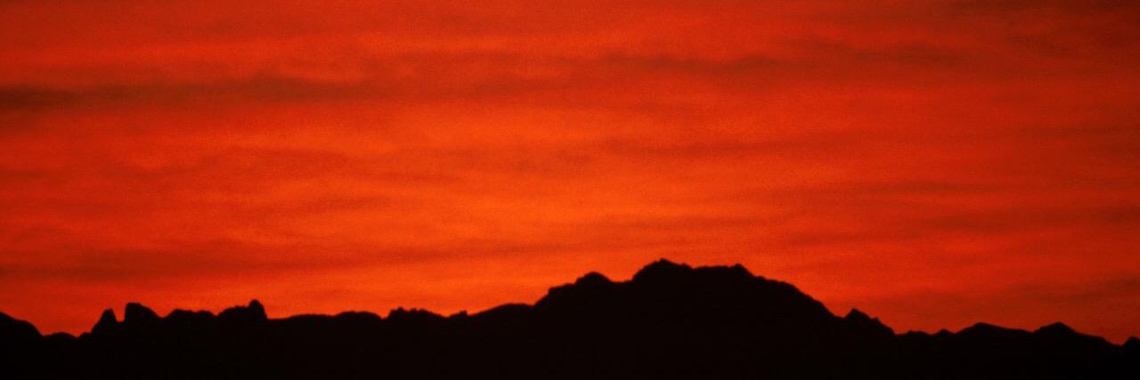 ★☆✪ Peter J ★☆✪ banner