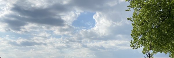 plxtinumafi Profile Banner