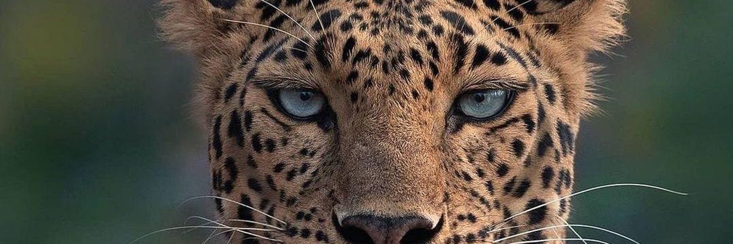 GulecBerat's profile banner image