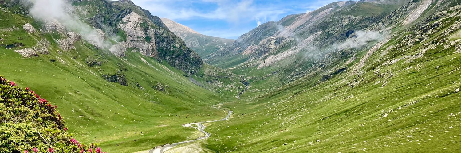 Gloria Fajula banner