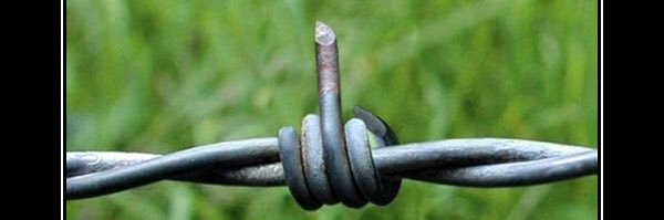 DoNotMakePeaceW/Evil banner