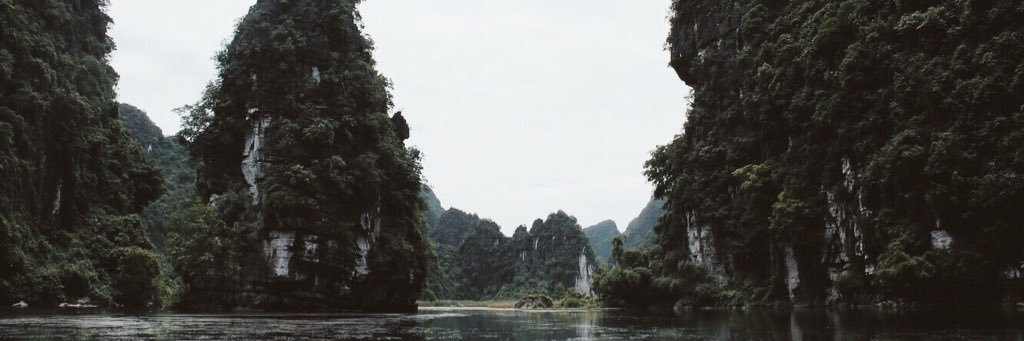 vivientran13's profile banner image