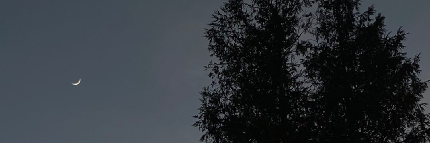 King_Den23 banner