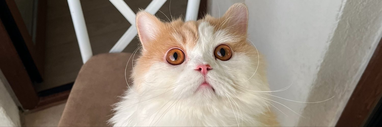 myserpp's profile banner image