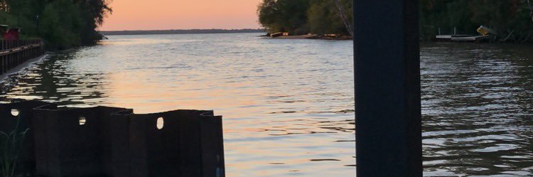 daisyfrescaa's profile banner image