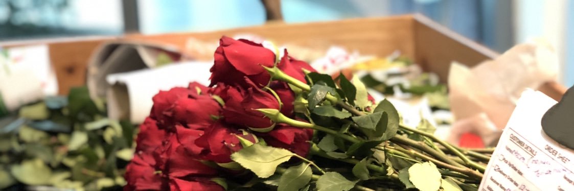 alaa_199611's profile banner image