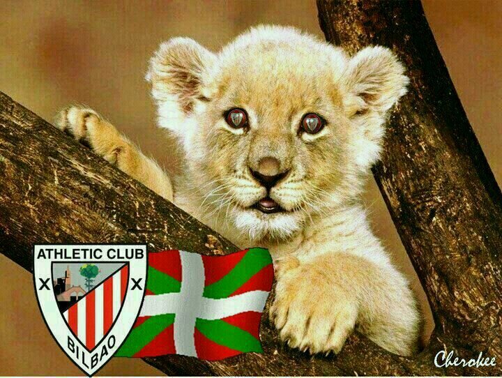 MarkelCrespo's profile banner image