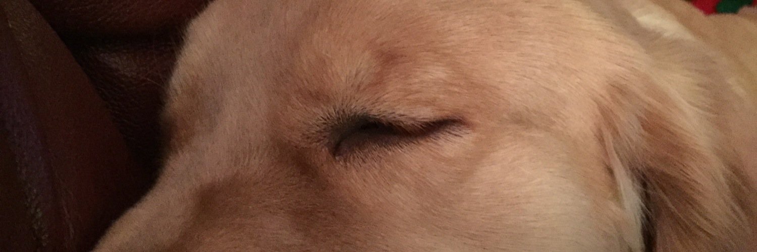 jefranklin3's profile banner image