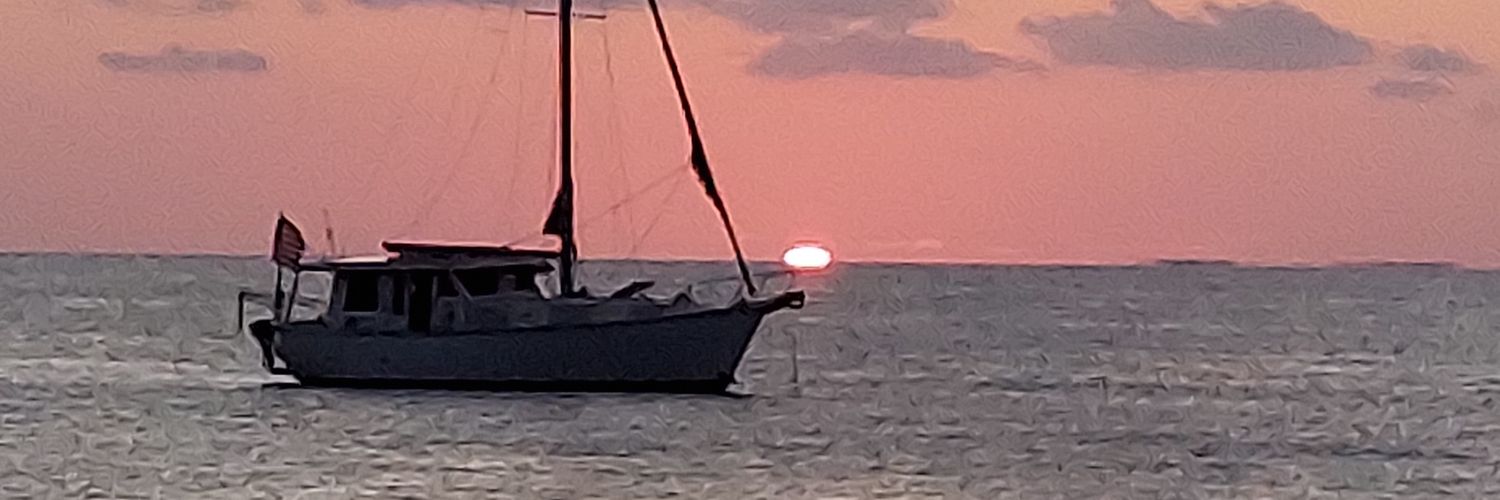 BessCStorm's profile banner image