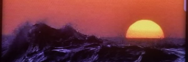 Offendingsquid Profile Banner