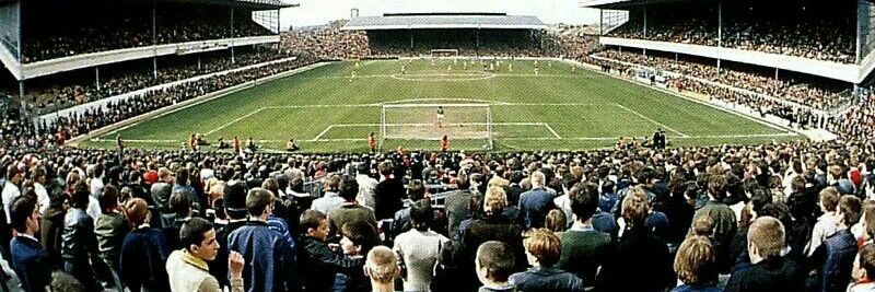 Steve Williams Fan Club banner