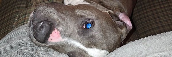 S_x_t_h Profile Banner