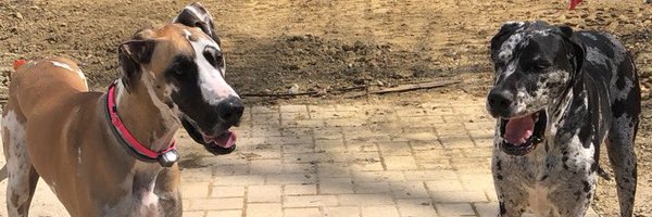 DVander1956 Profile Banner