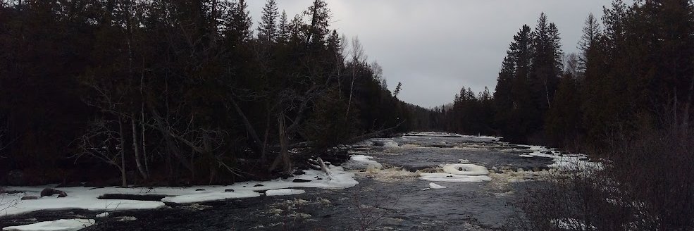 🍁TIAHumanEcho banner