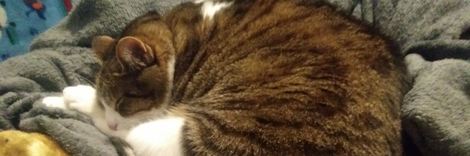 KendrichY's profile banner image