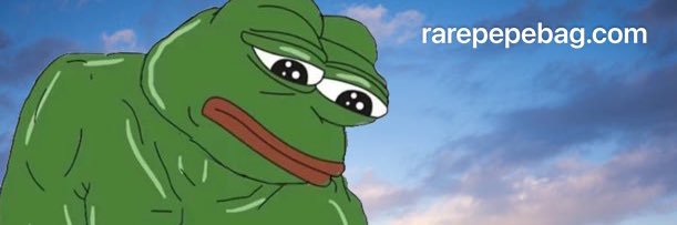 rarepepebag's banner