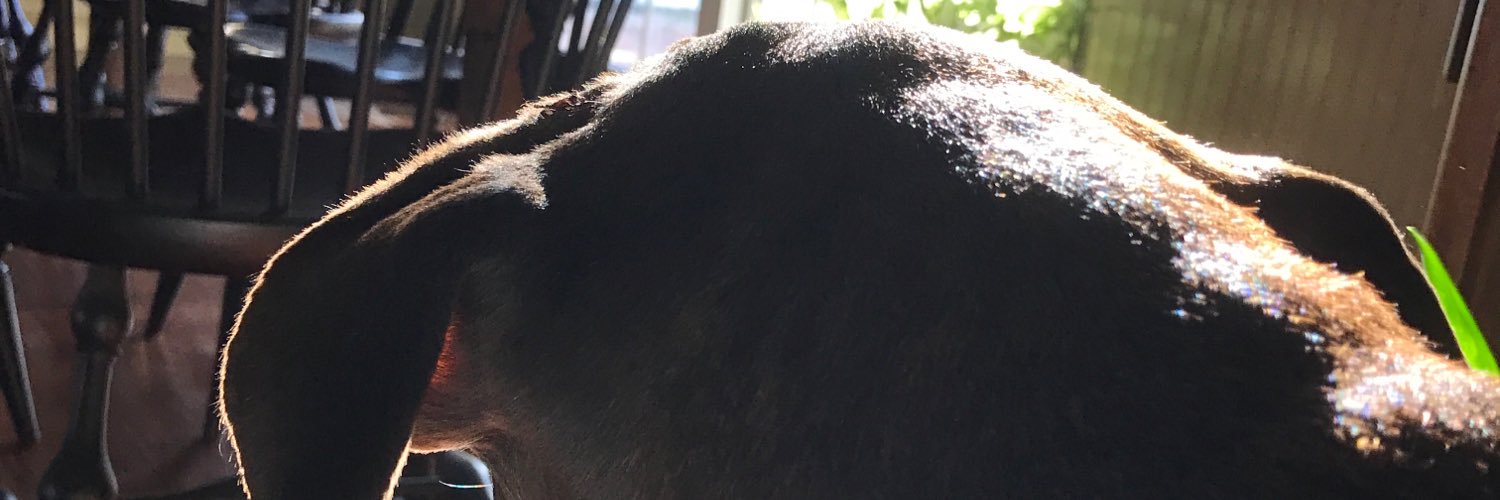 dylanmcnichol73's profile banner image