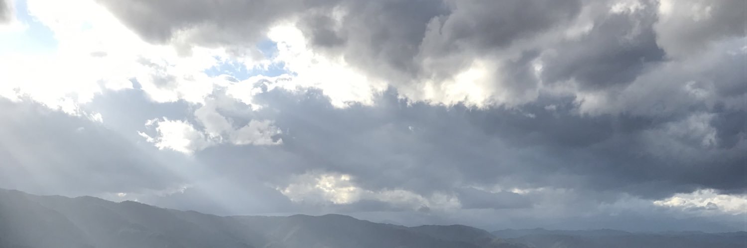 fondanny's profile banner image