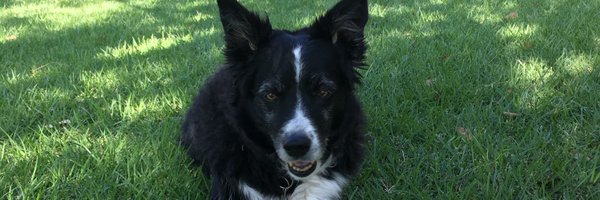 momdoc60 Profile Banner