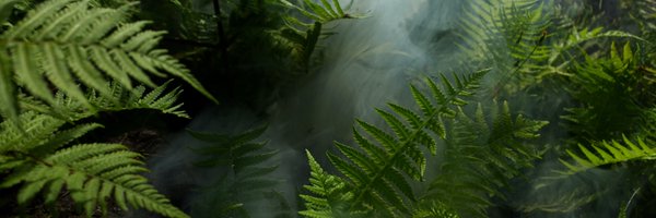 TrendifyMy38278 Profile Banner