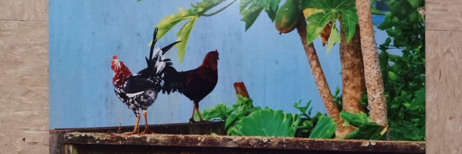 _barberIC_'s profile banner image