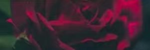 端冥辞 banner