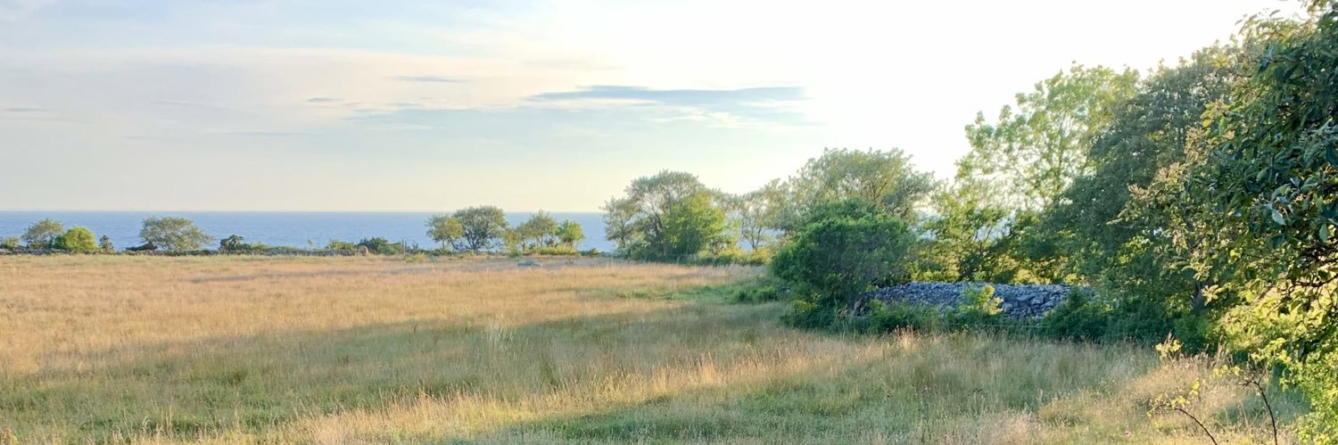 BaibyRuth's profile banner image