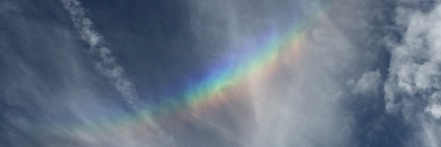 snickerjets's profile banner image
