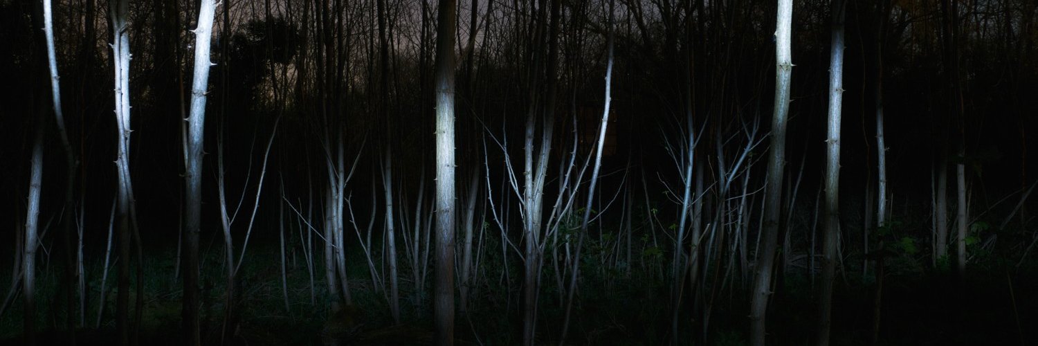 marsthepcemaker's profile banner image